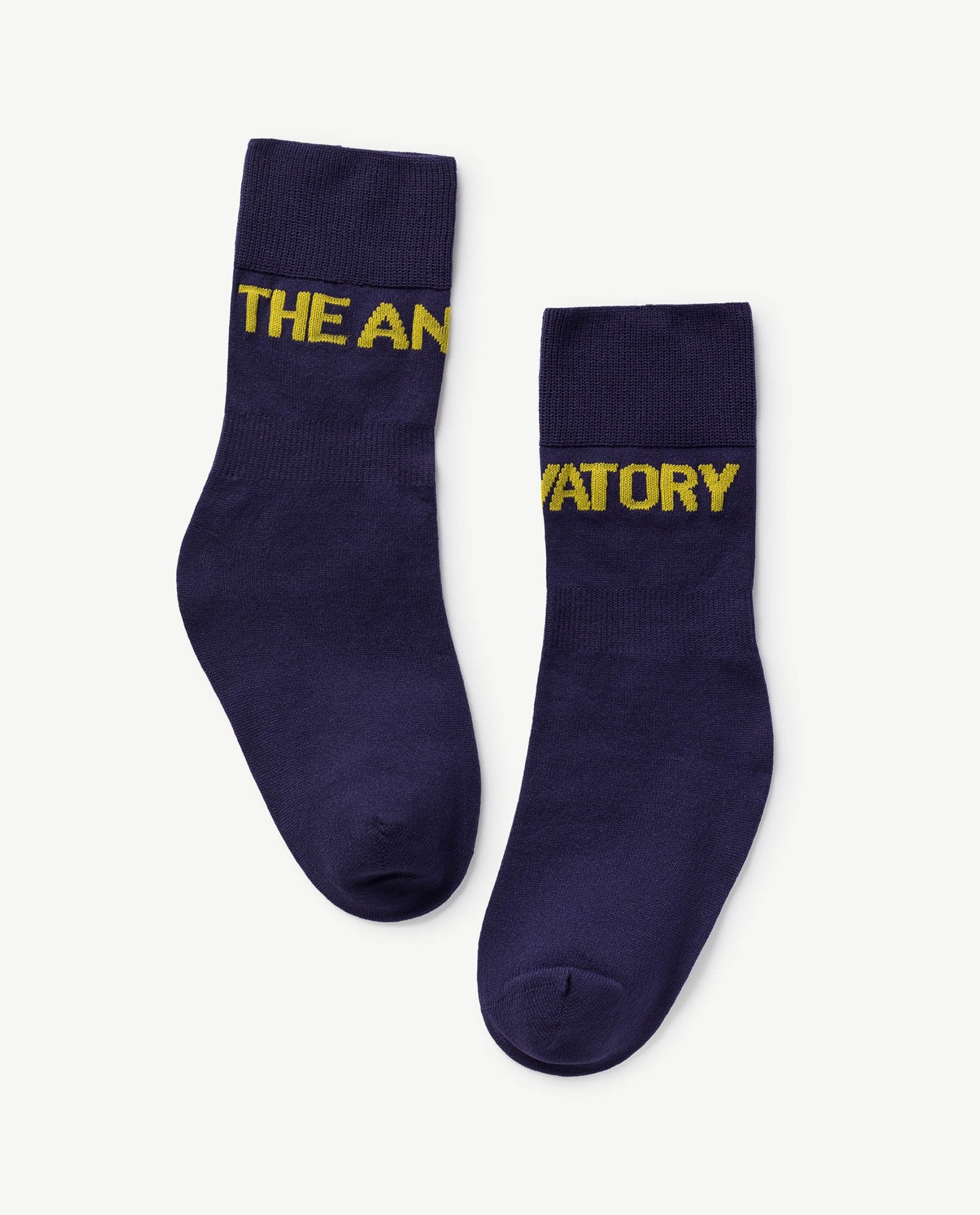 Purple Worm Socks PRODUCT FRONT