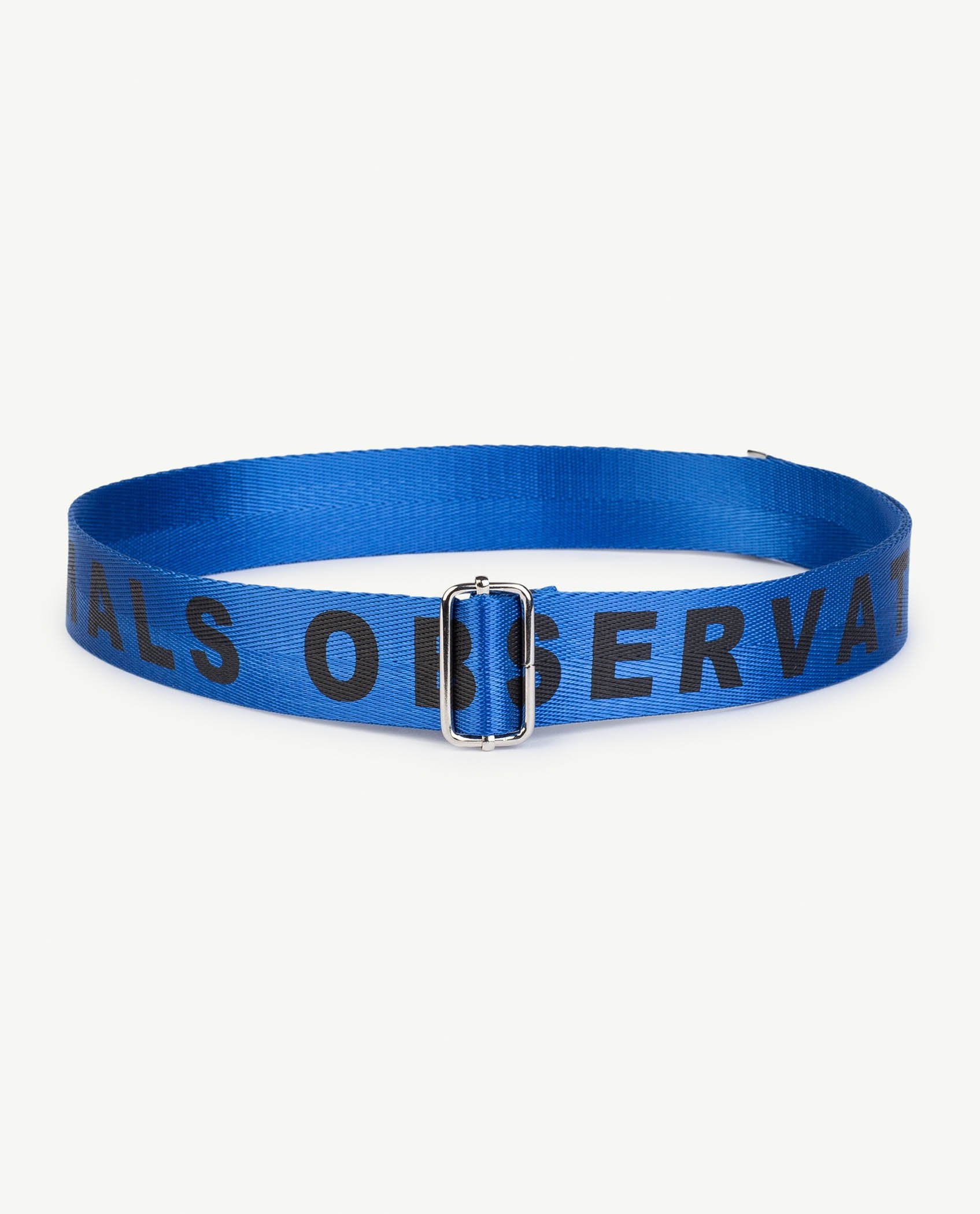 Blue Letters Lizard Belt PRODUCT FRONT