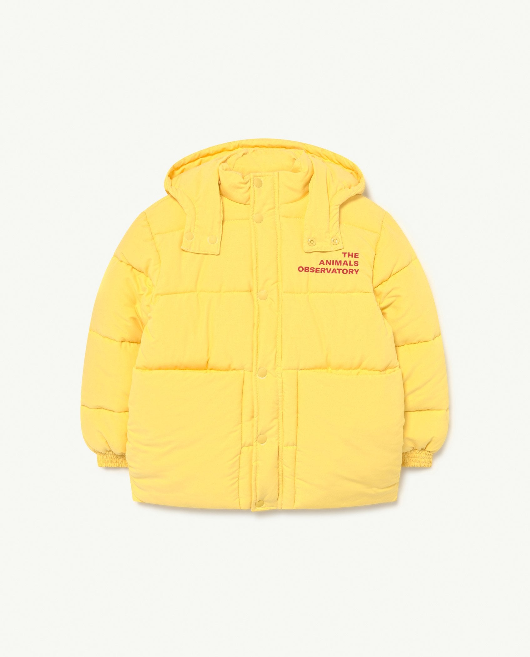 Lemur Yellow Jacket PRODUCT FRONT