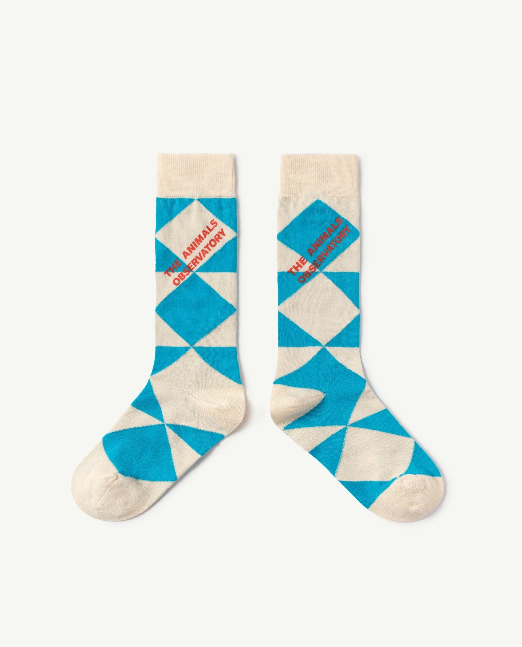 Blue Worm Kids Socks PRODUCT FRONT