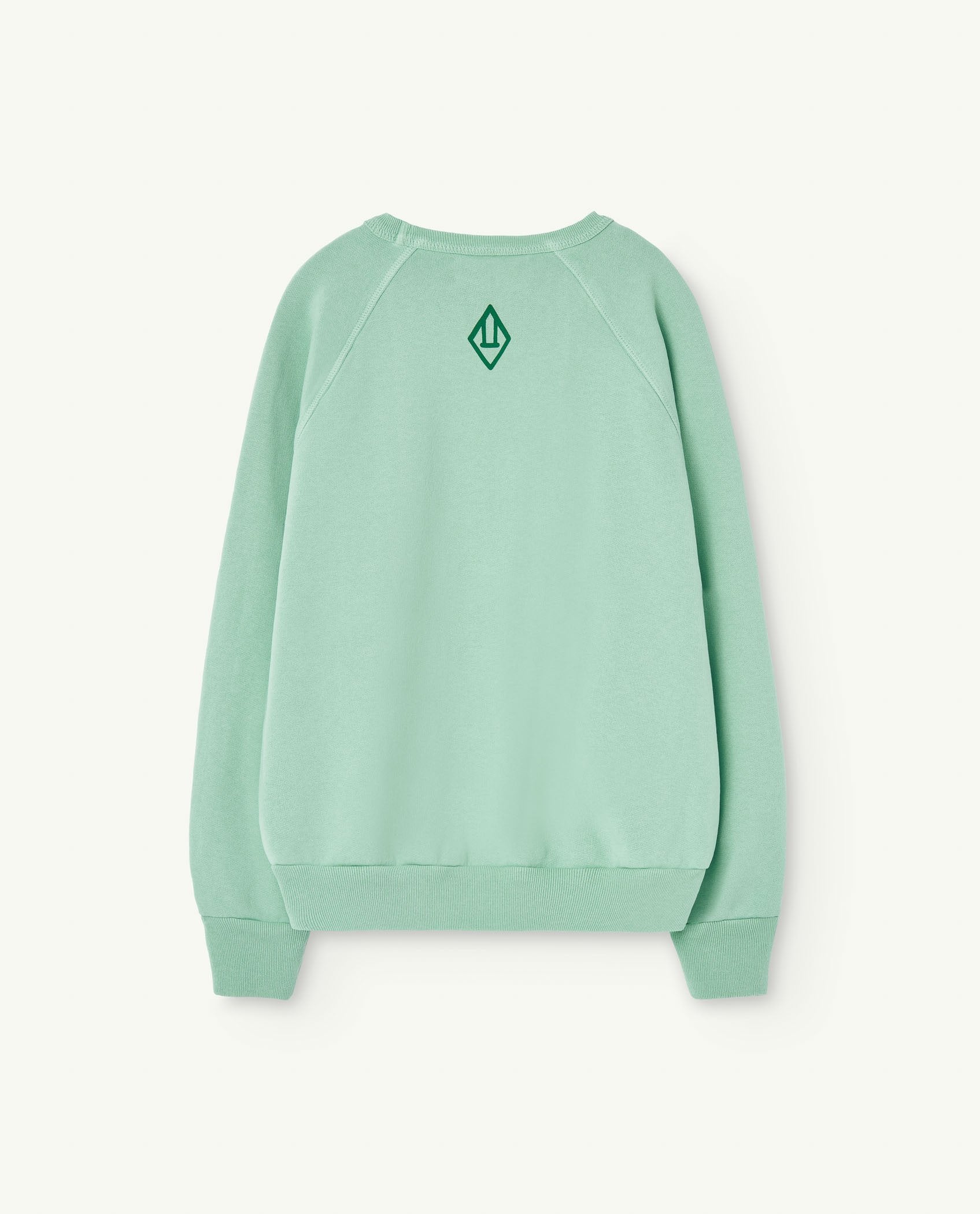 Turquoise Perseus Kids Sweatshirt PRODUCT BACK