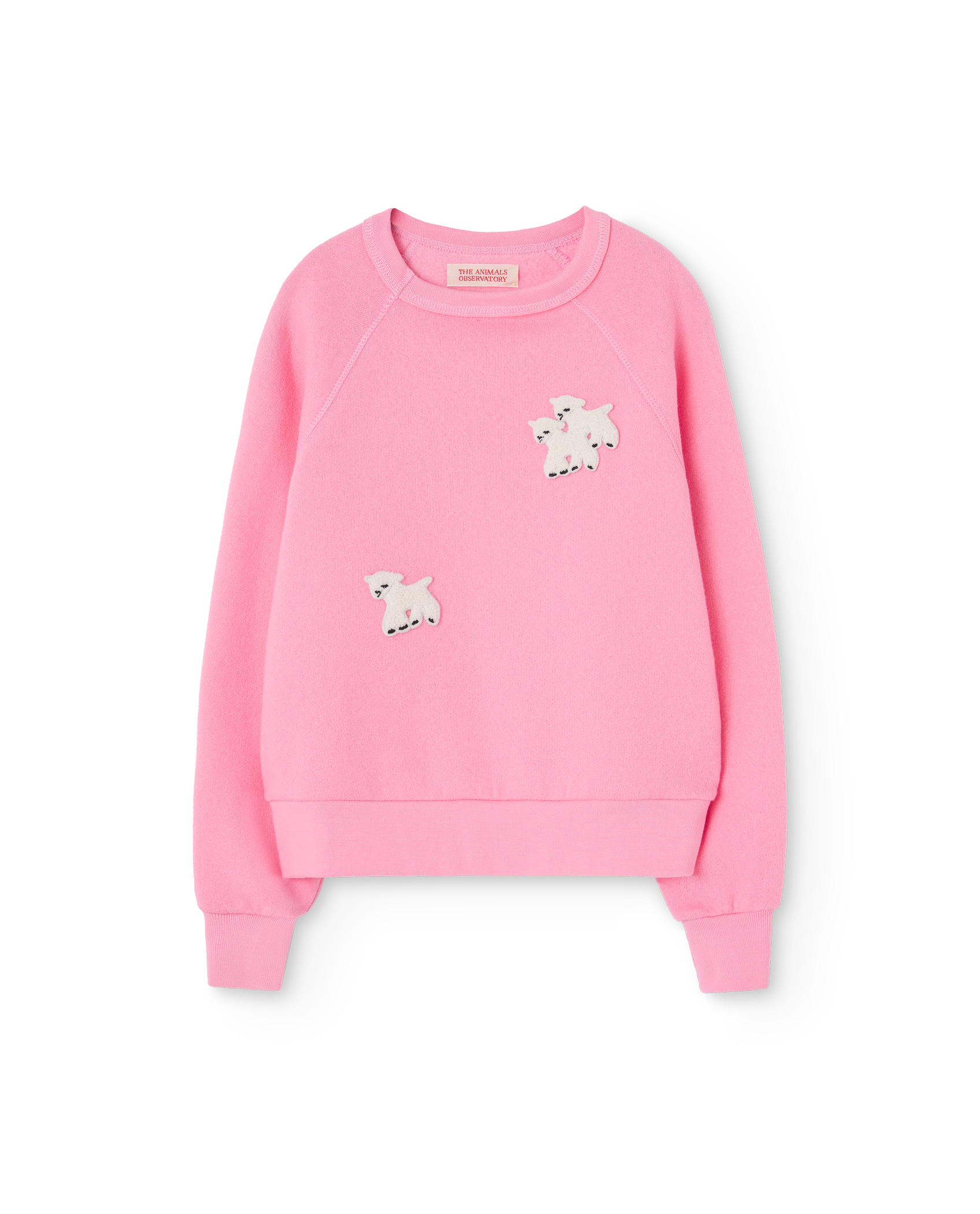 Pink Sheep Shark Sweatshirt PRODUCT FRONT