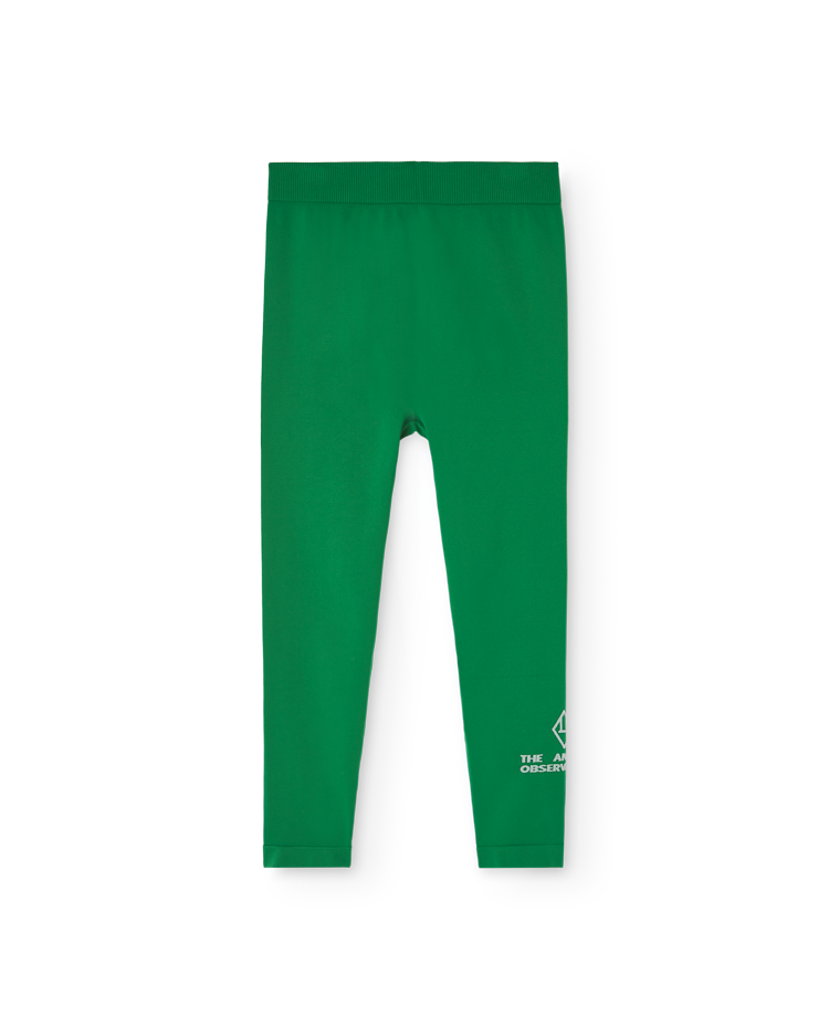 Green Alligator Leggings COVER