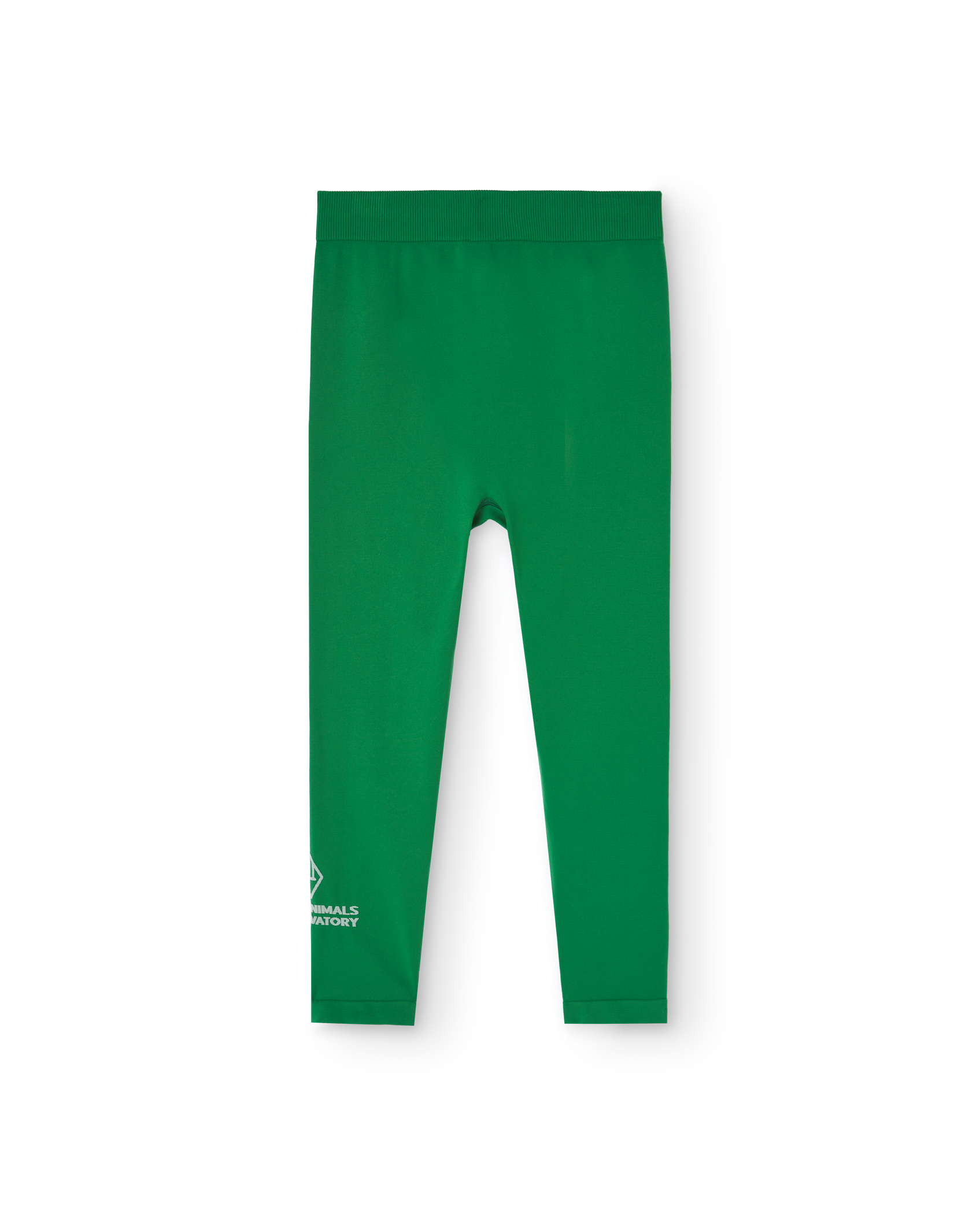 Green Alligator Leggings PRODUCT BACK