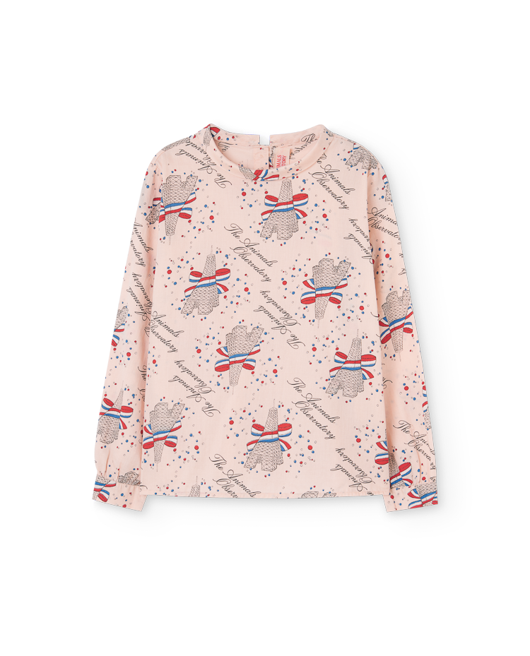 Rose Eiffel Seagull Blouse COVER