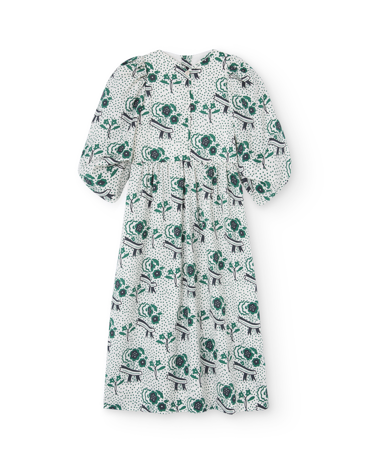 White Peacock Dress COVER