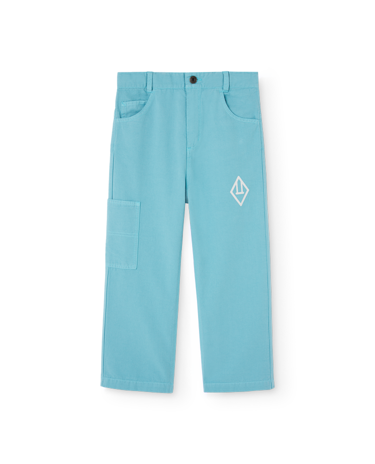 Blue Condor Pants COVER