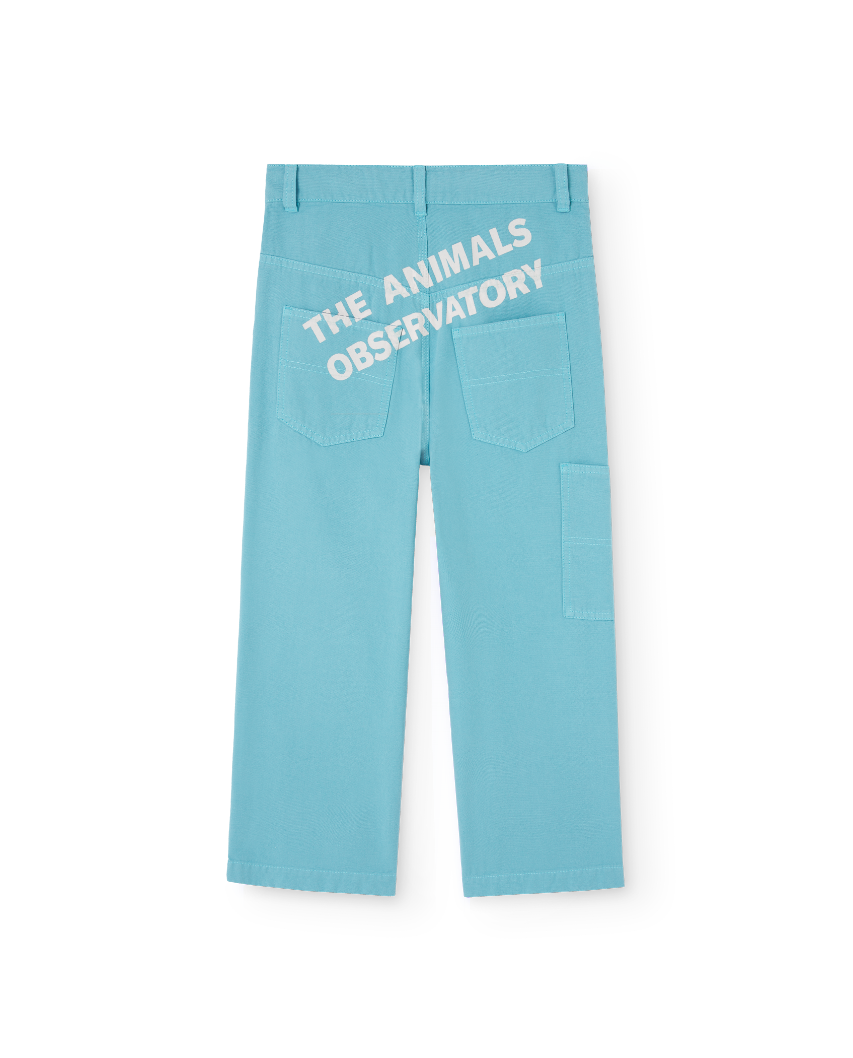 Blue Condor Pants PRODUCT BACK