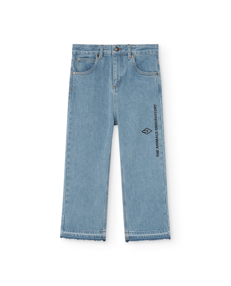 Blue Symbol Ant Jeans COVER