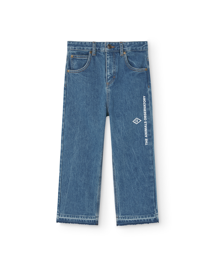 Indigo Symbol Ant Jeans COVER