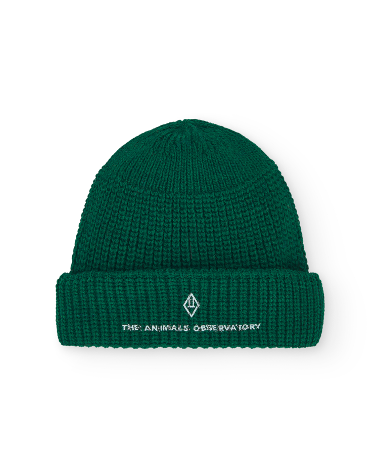 Green Plain Pony Beanie COVER