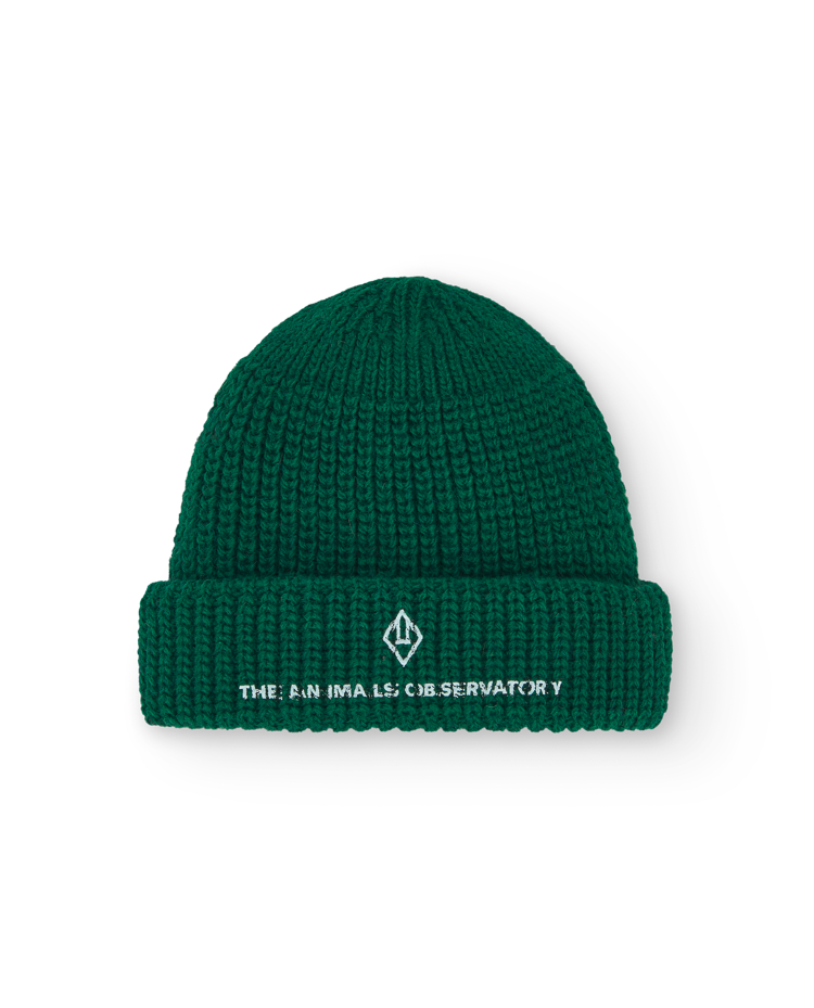 Green Bongo Baby Beanie COVER