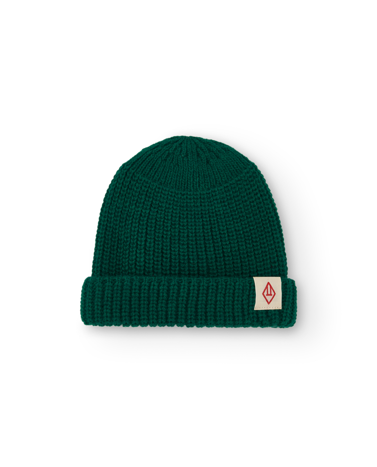 Green Bongo Baby Beanie COVER