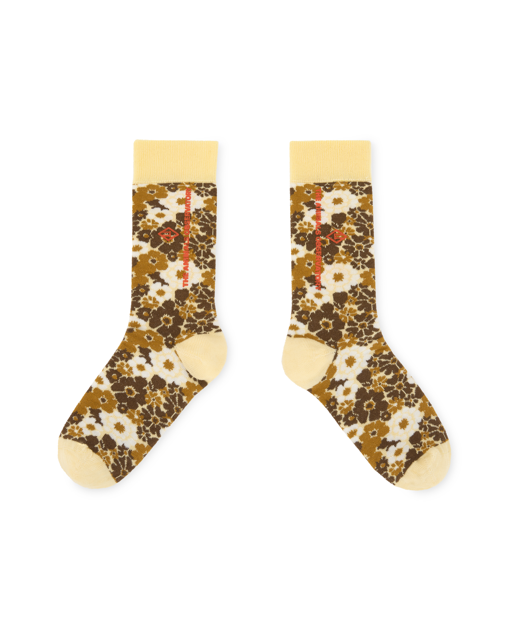 Brown Snail Socks PRODUCT FRONT