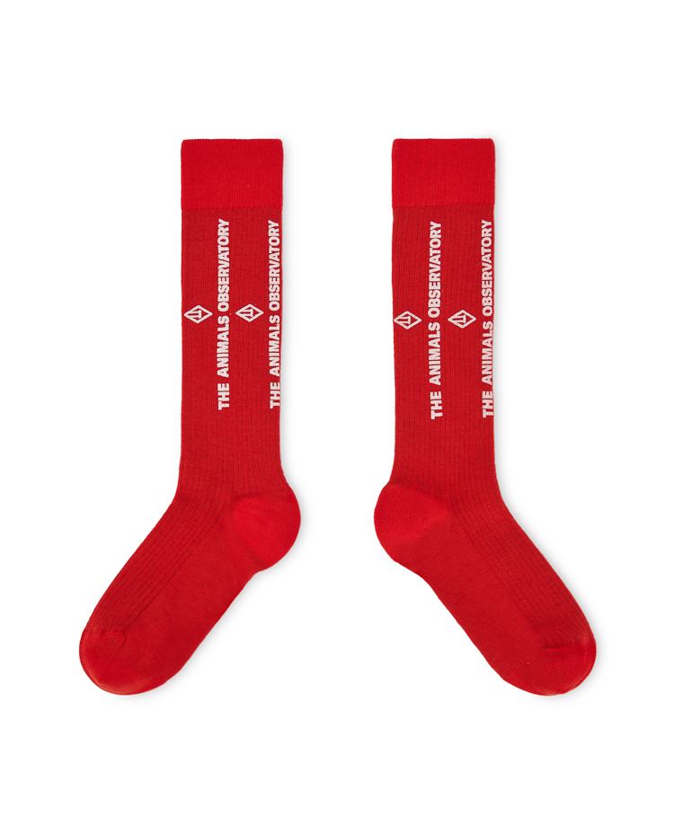 Red Worm Socks COVER