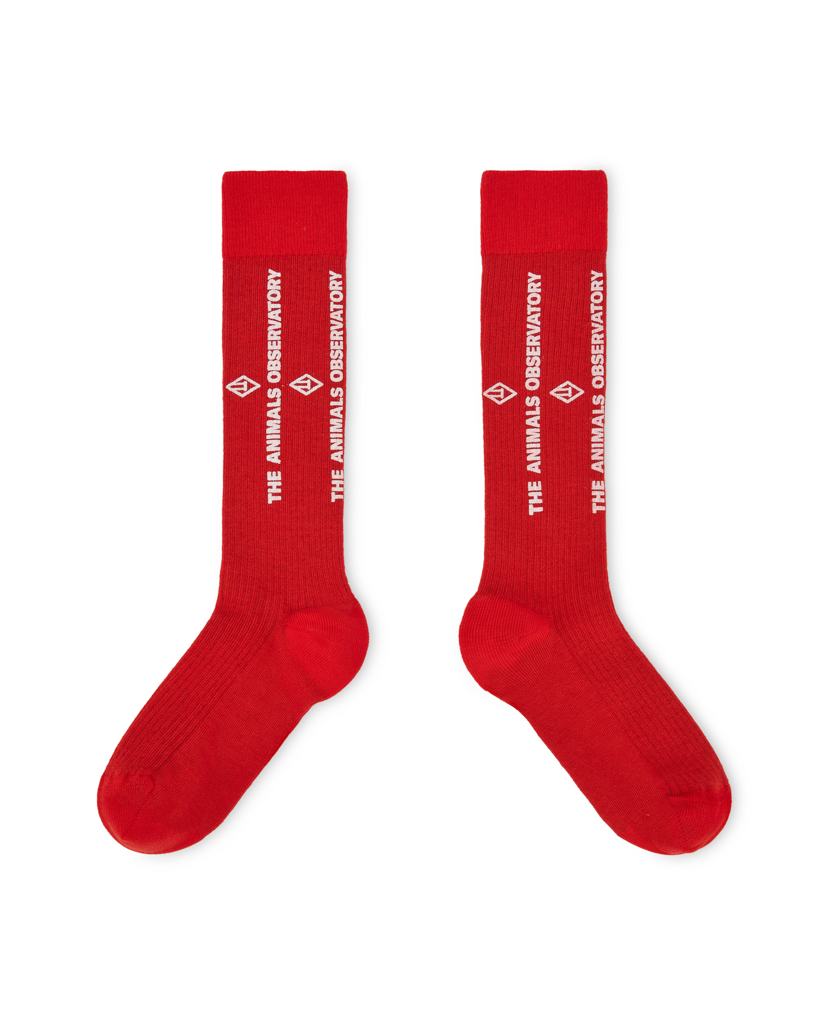 Red Worm Socks PRODUCT FRONT