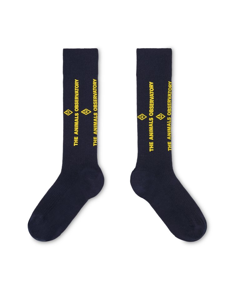 Navy Worm Socks COVER