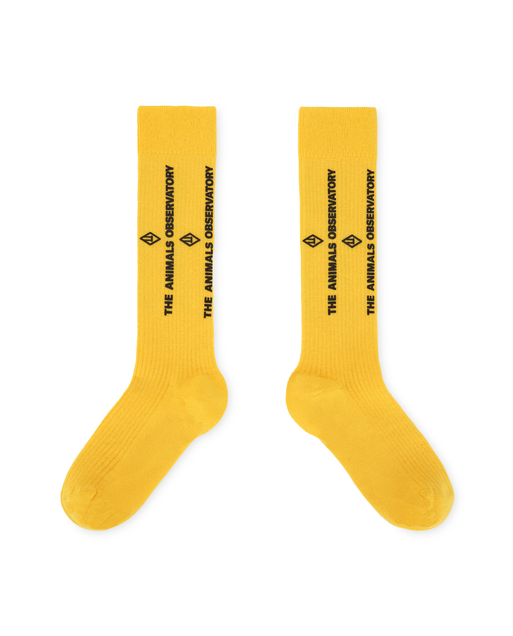 Yellow Worm Socks PRODUCT FRONT