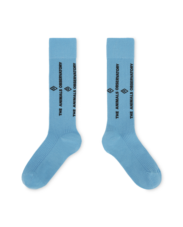 Blue Worm Socks COVER