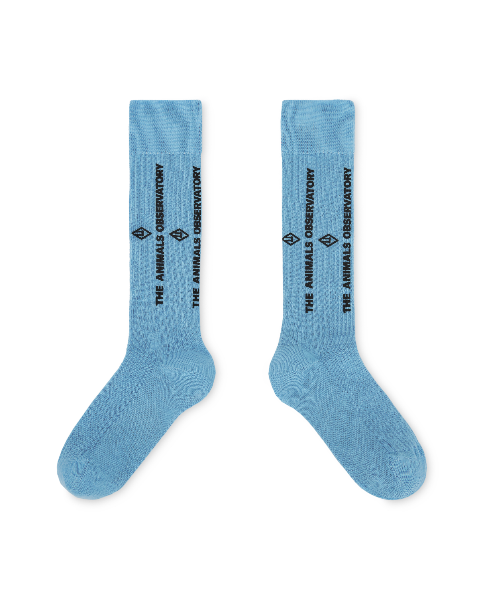 Blue Worm Socks PRODUCT FRONT