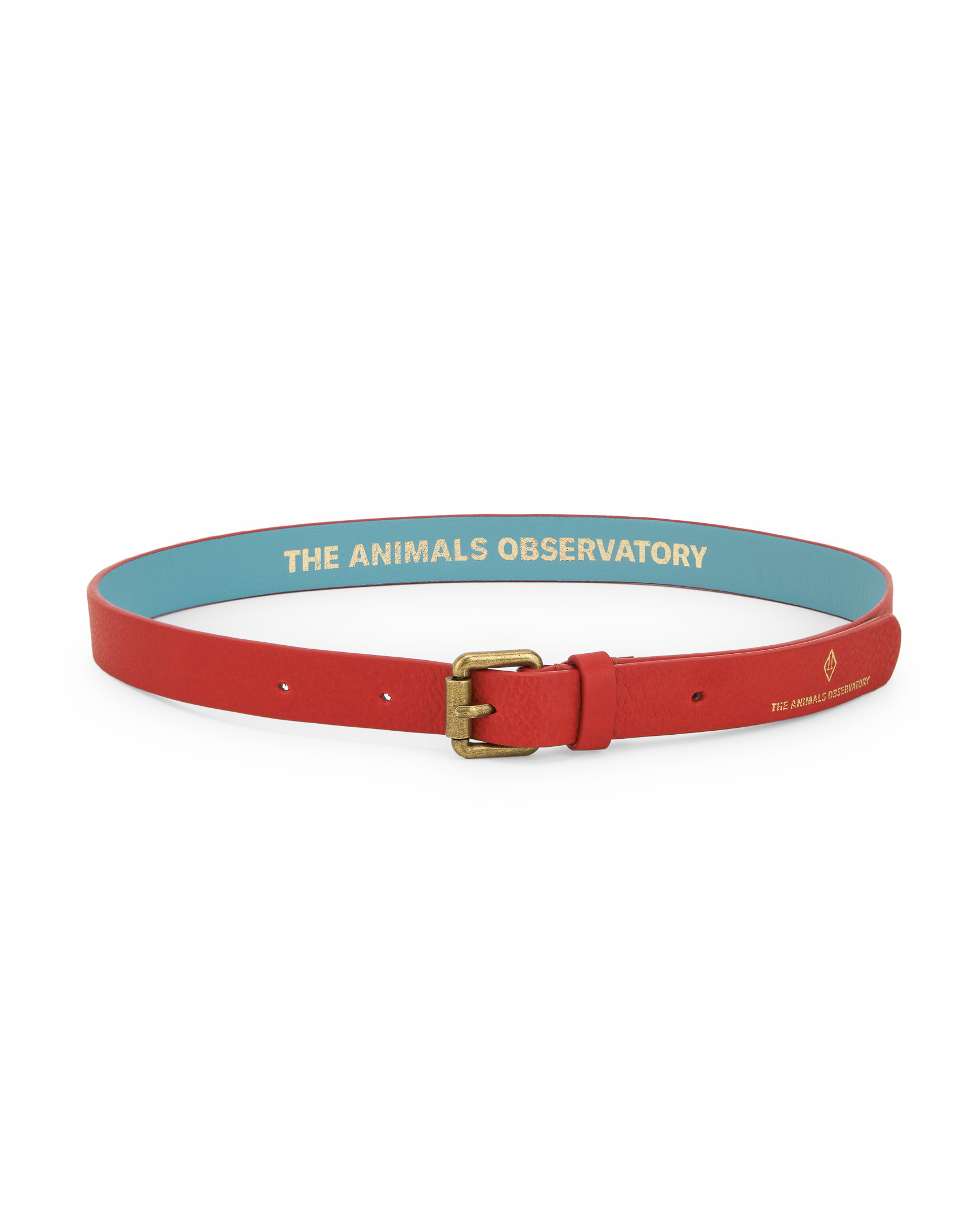 Red Ibis Belt PRODUCT FRONT