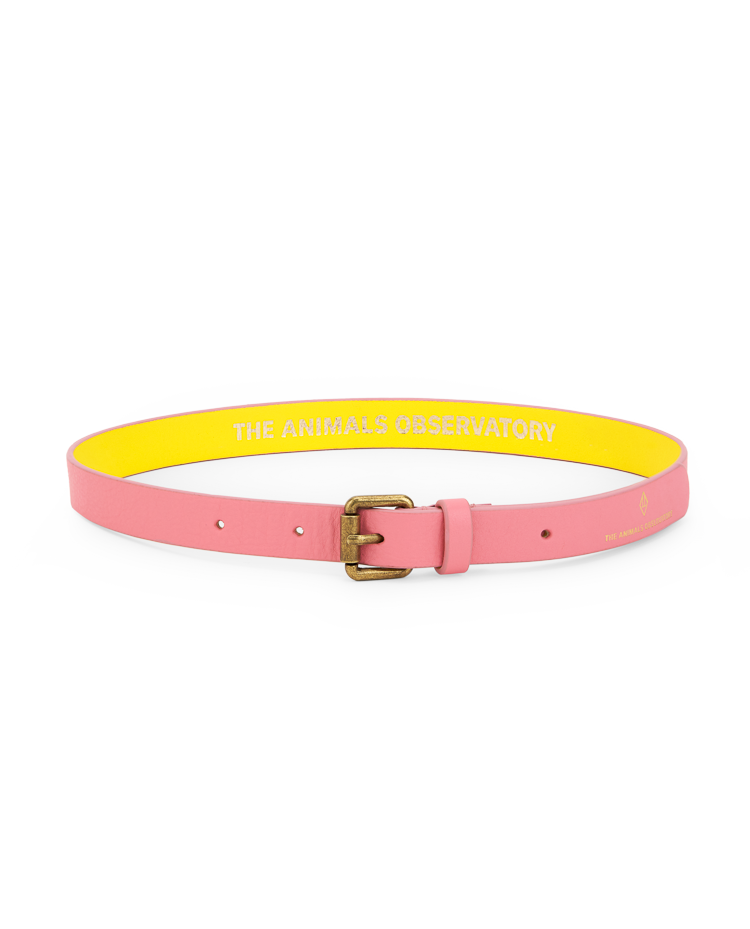 Pink Ibis Belt COVER