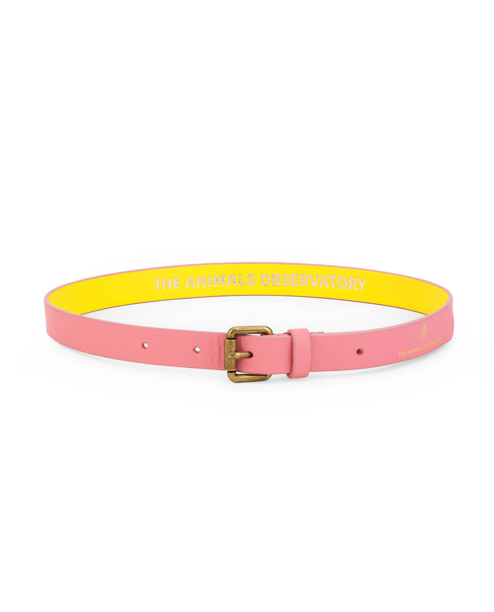 Pink Ibis Belt PRODUCT FRONT