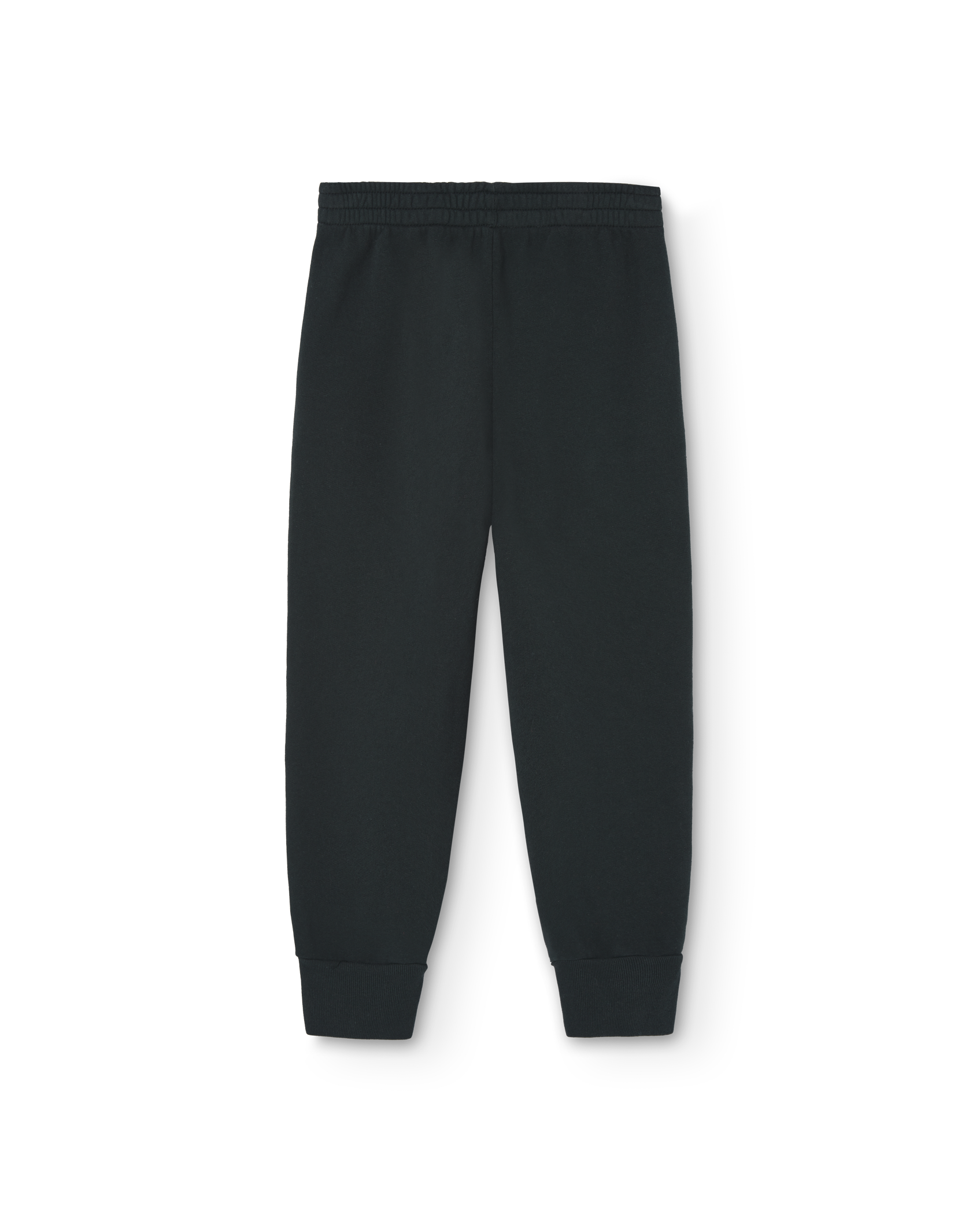 Dark Green Draco Sweatpants PRODUCT BACK