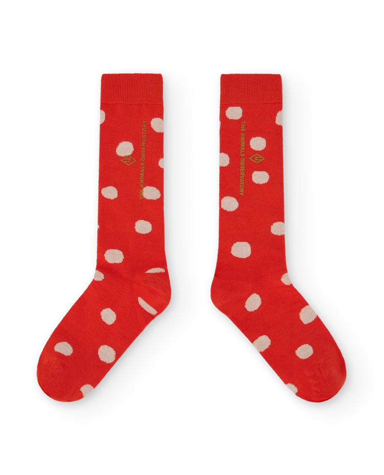 Red worm socks COVER