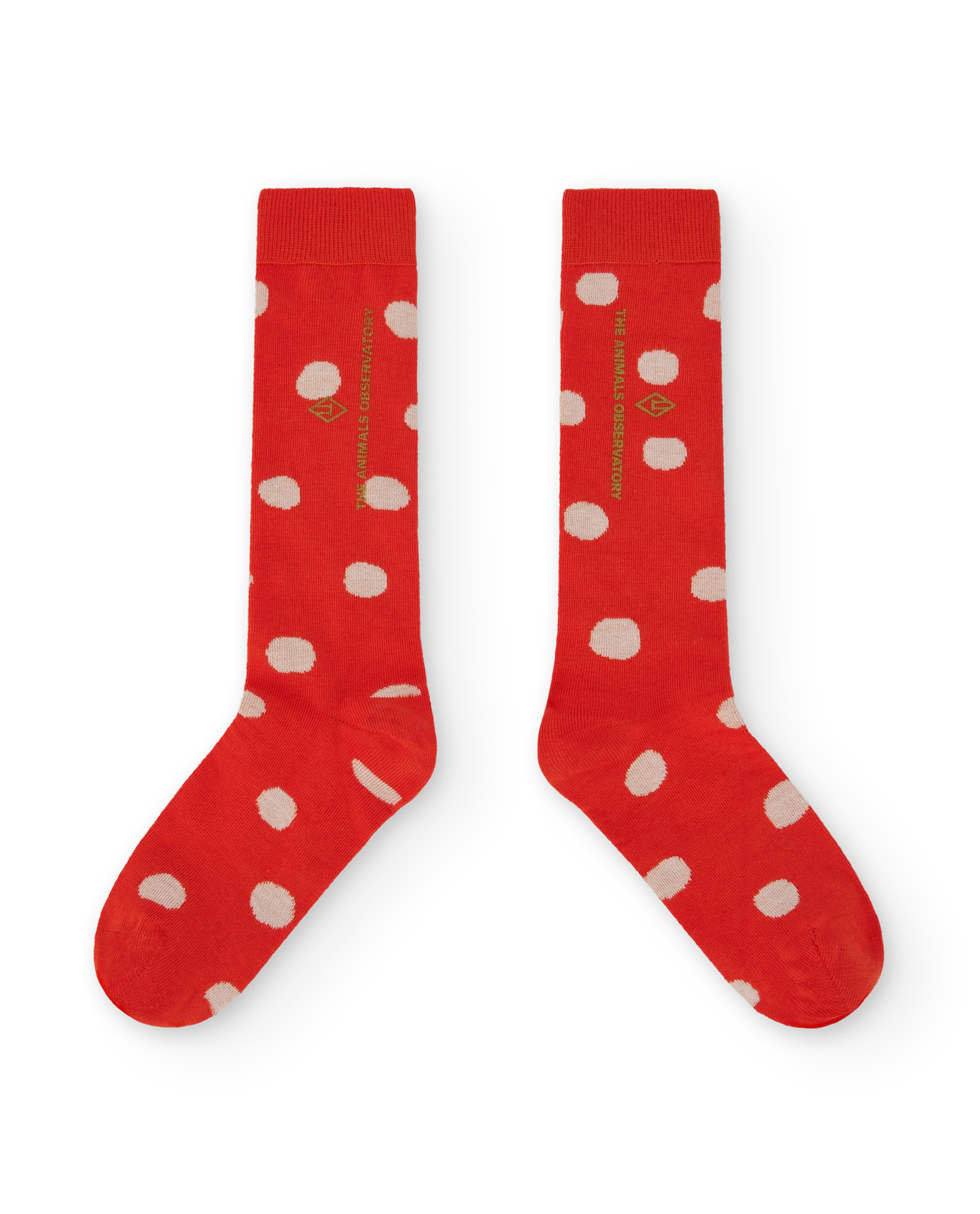 Red worm socks PRODUCT FRONT