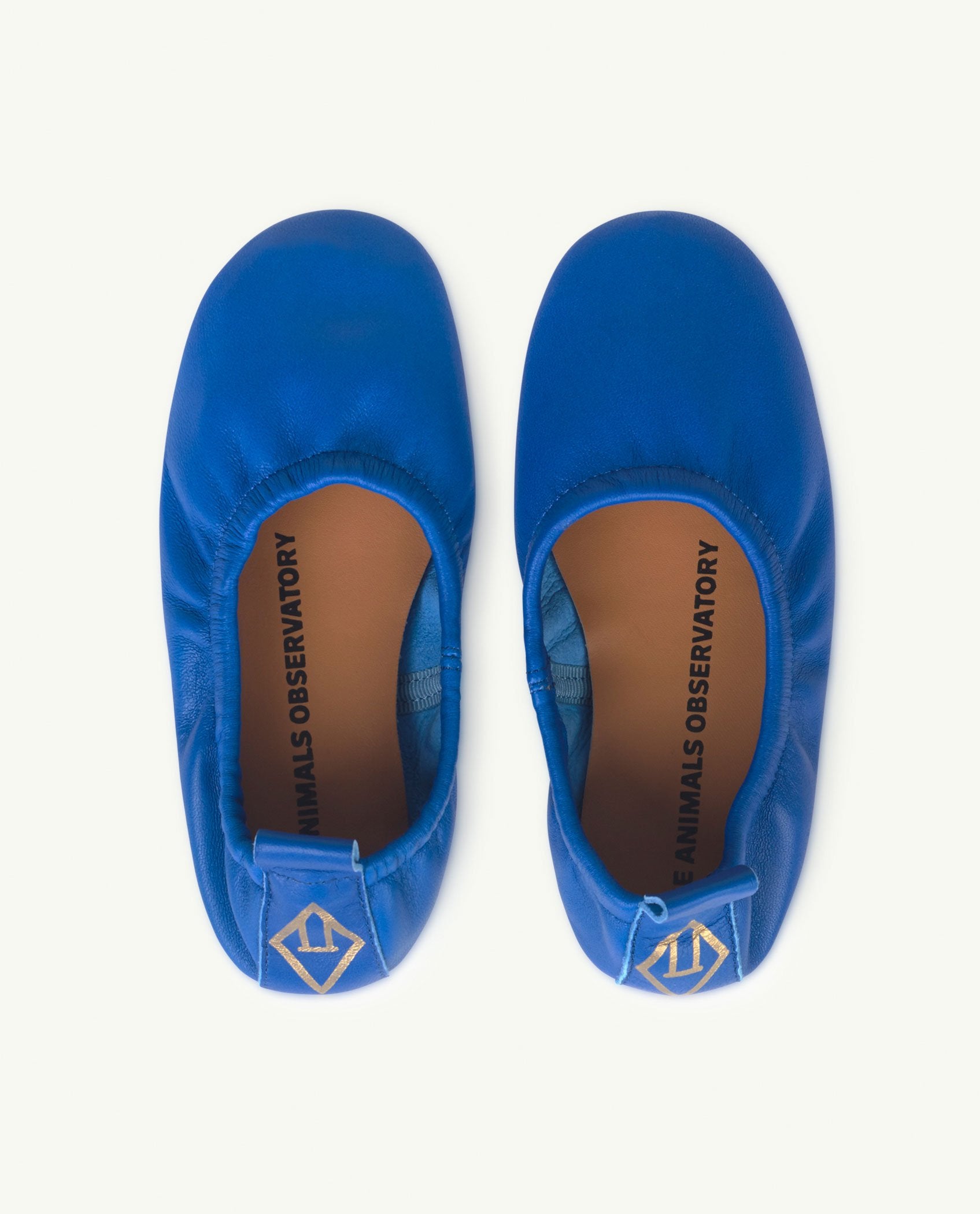 Blue Logo Donkey Shoes PRODUCT BACK