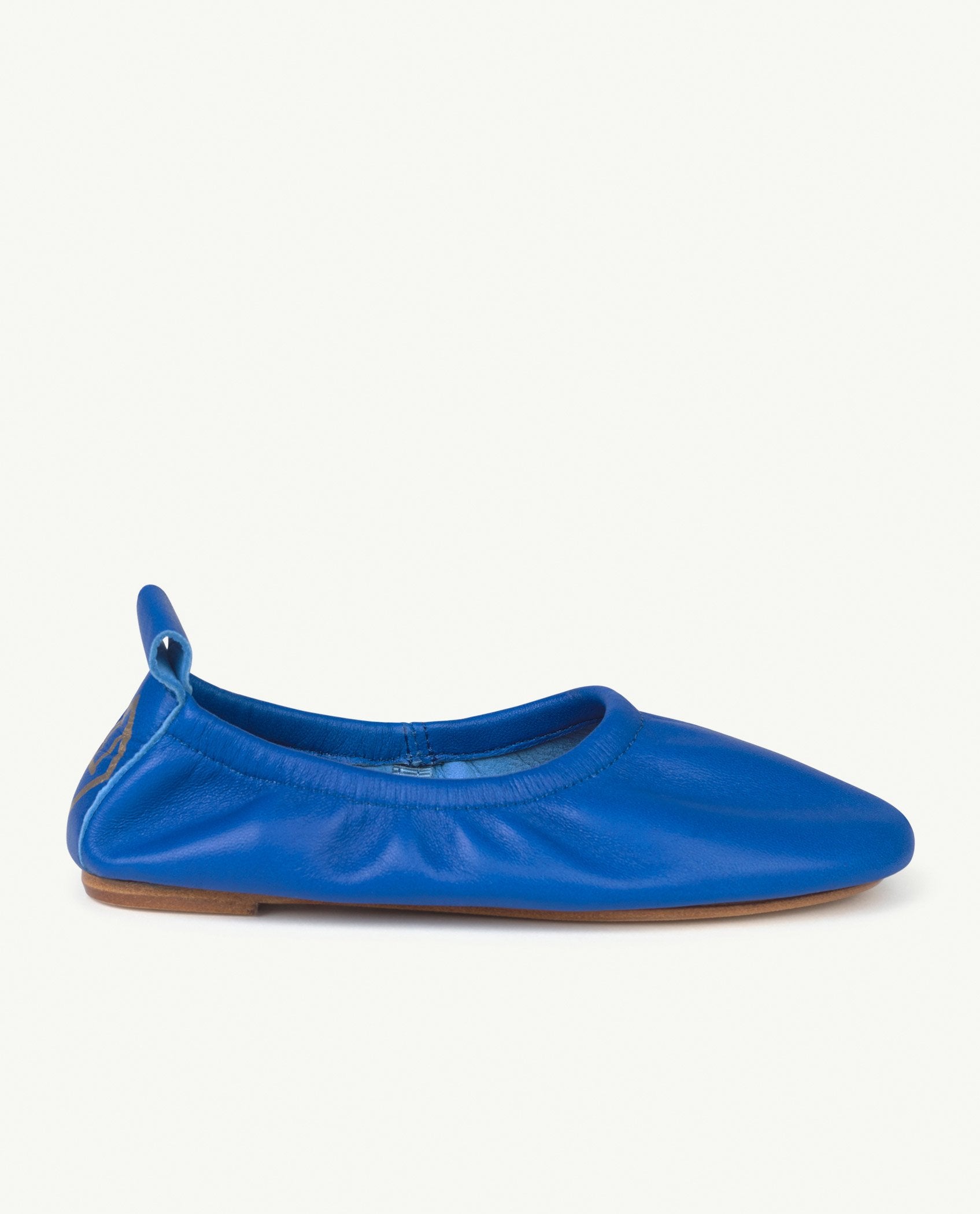 Blue Logo Donkey Shoes PRODUCT FRONT