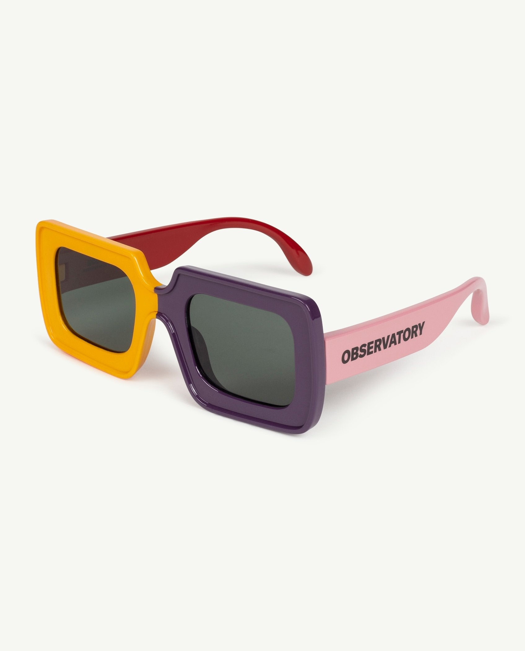 Purple Sunglasses PRODUCT BACK