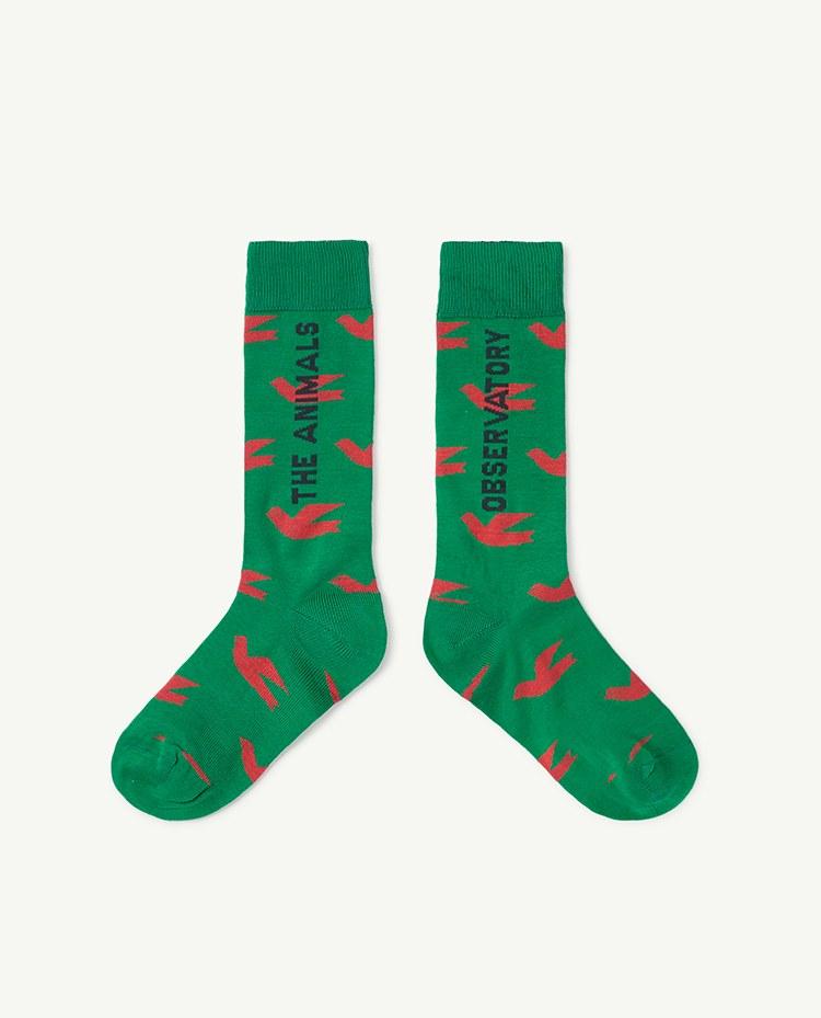 Birds Green Worm Socks COVER