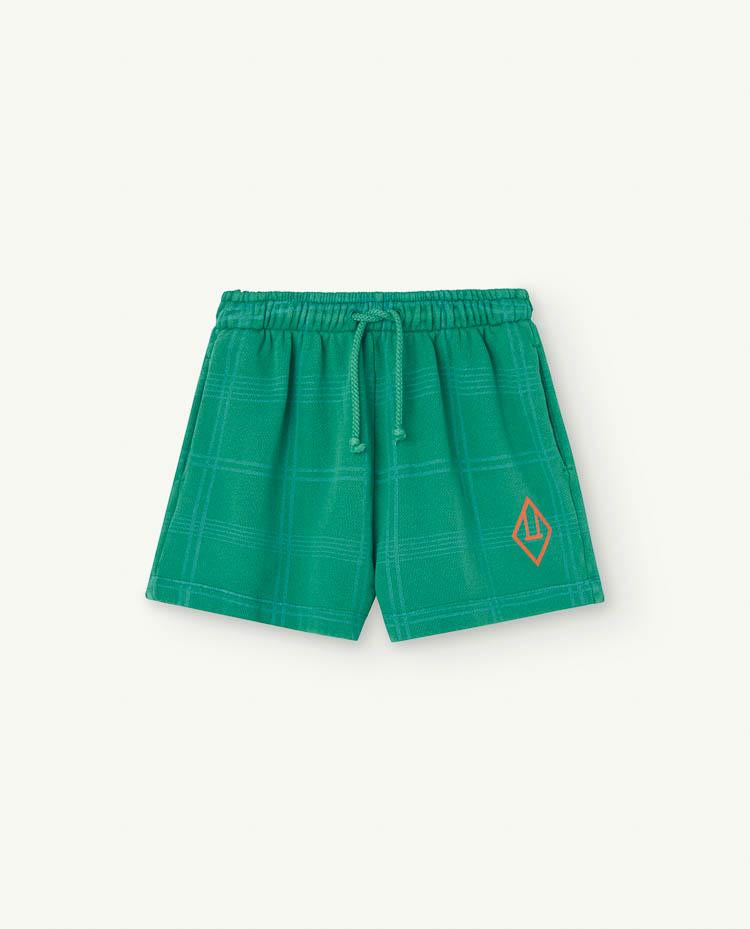 Green Hedgehog Shorts COVER