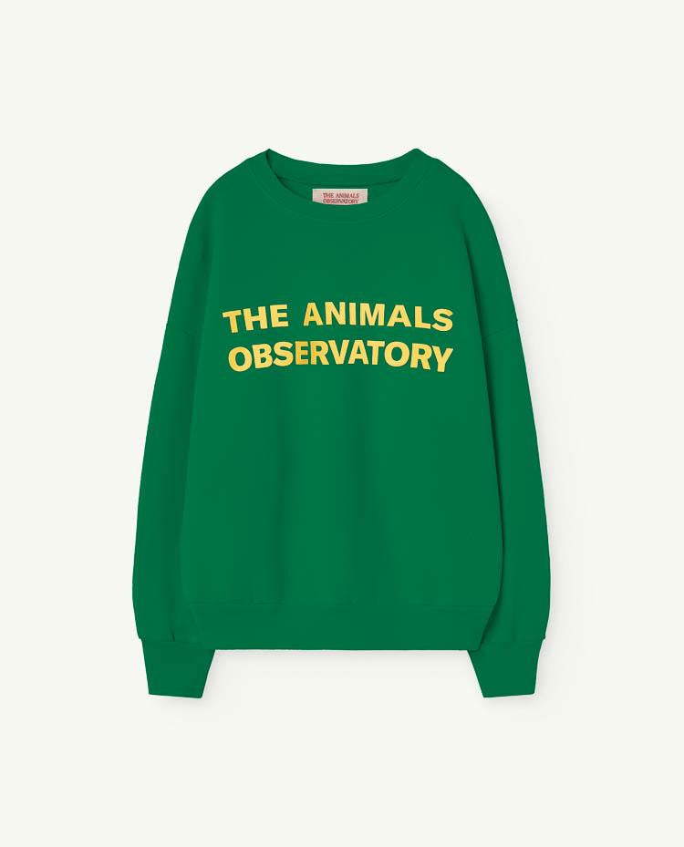 Green Leo Kids Sweatshirt COVER