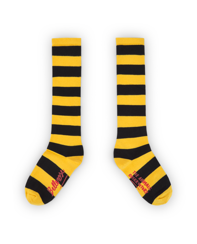 Yellow Bichir Socks