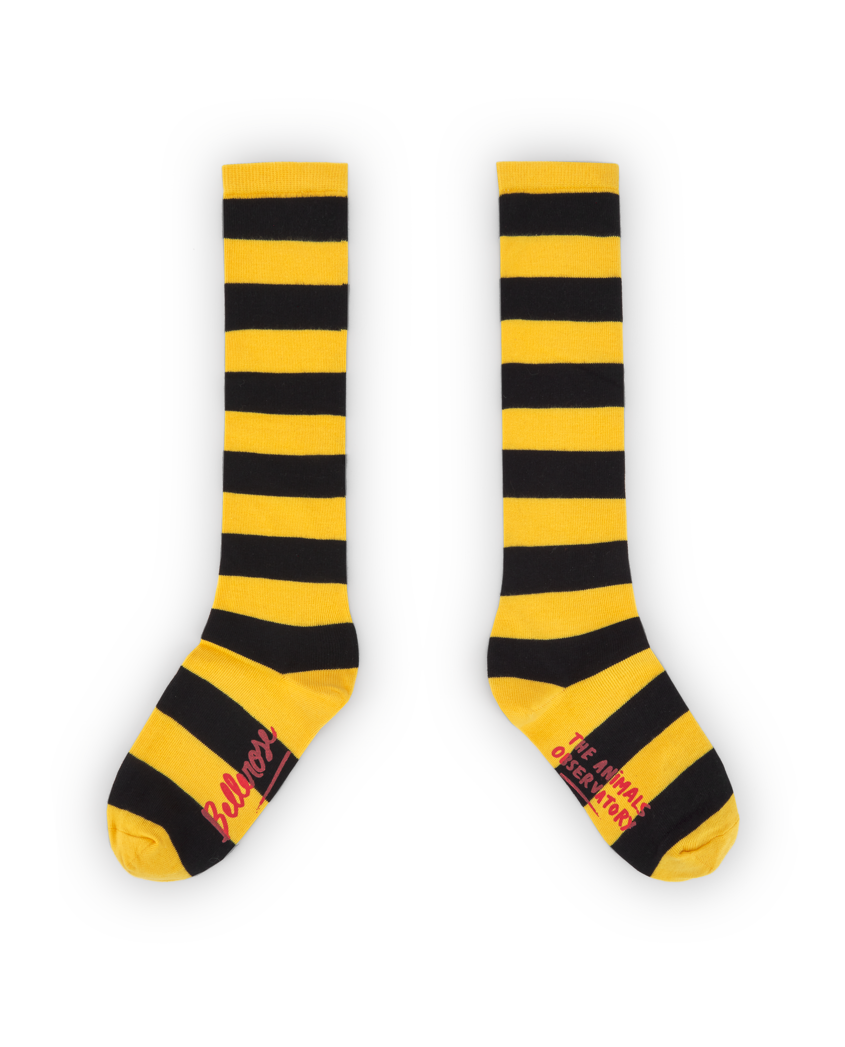 Chaussettes bichir jaunes