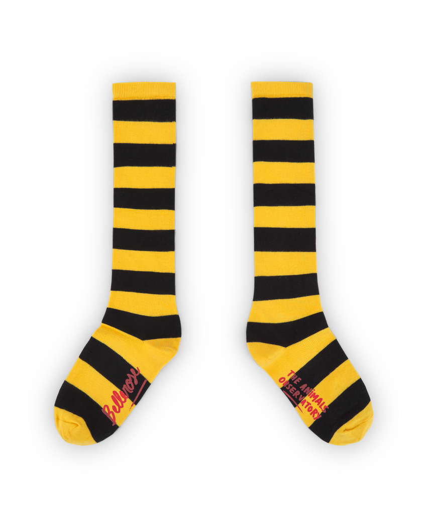 Chaussettes bichir jaunes