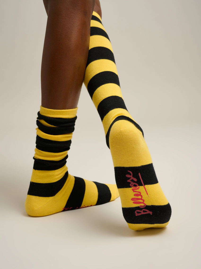 Yellow Bichir Socks