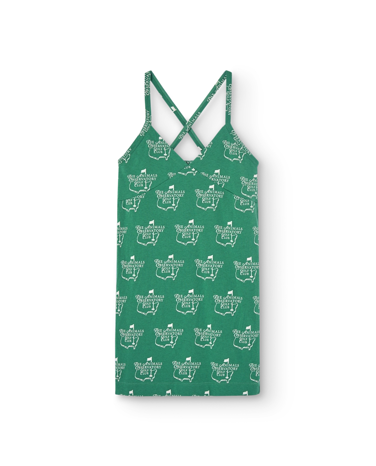 Green Cool Otter Mini Dress COVER