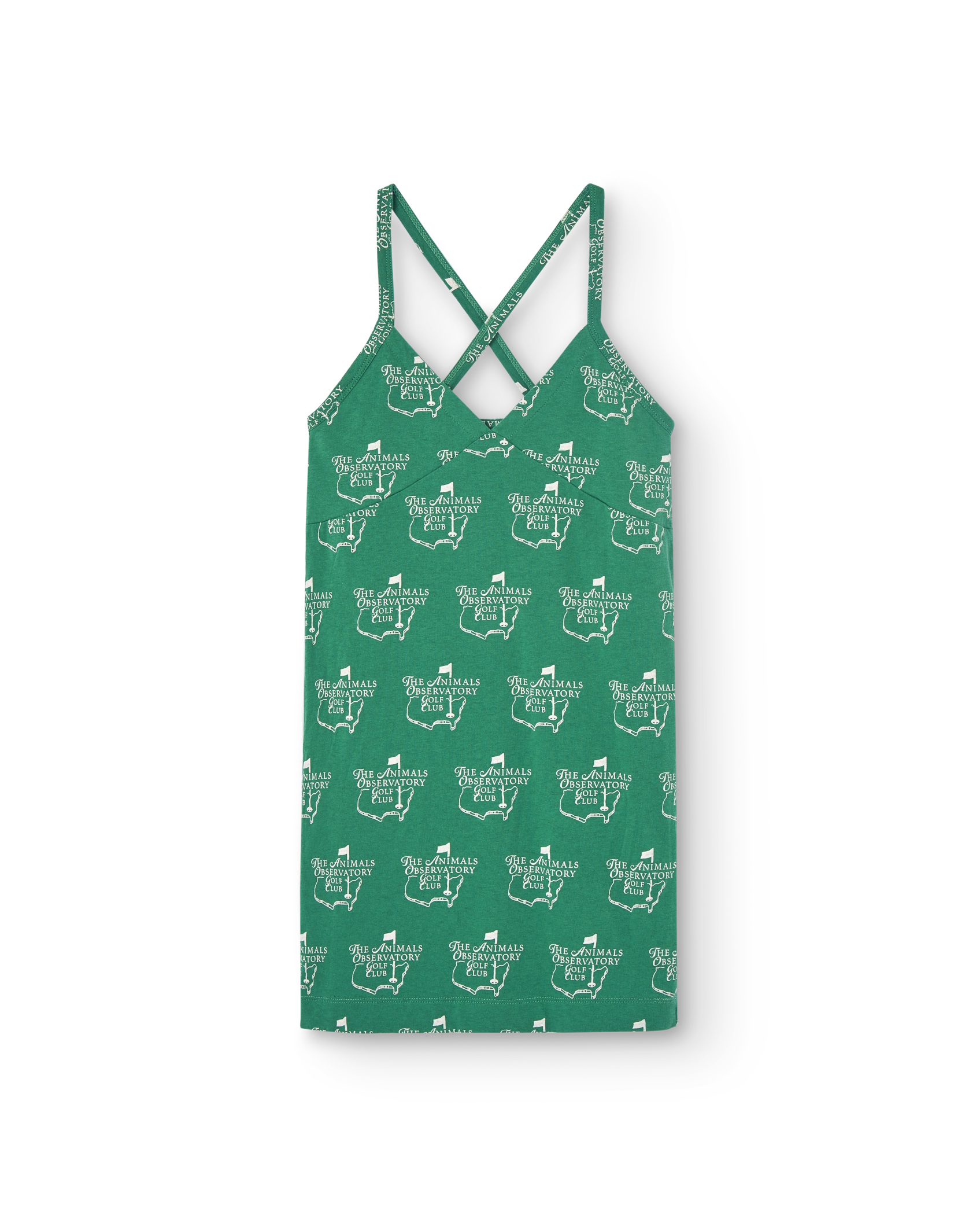 Green Cool Otter Mini Dress PRODUCT FRONT