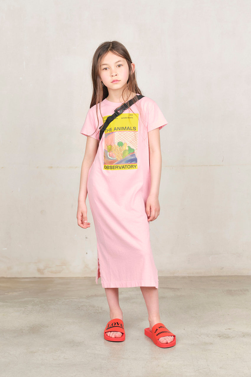 Pink Magazine Gorilla Maxi Dress MODEL FRONT