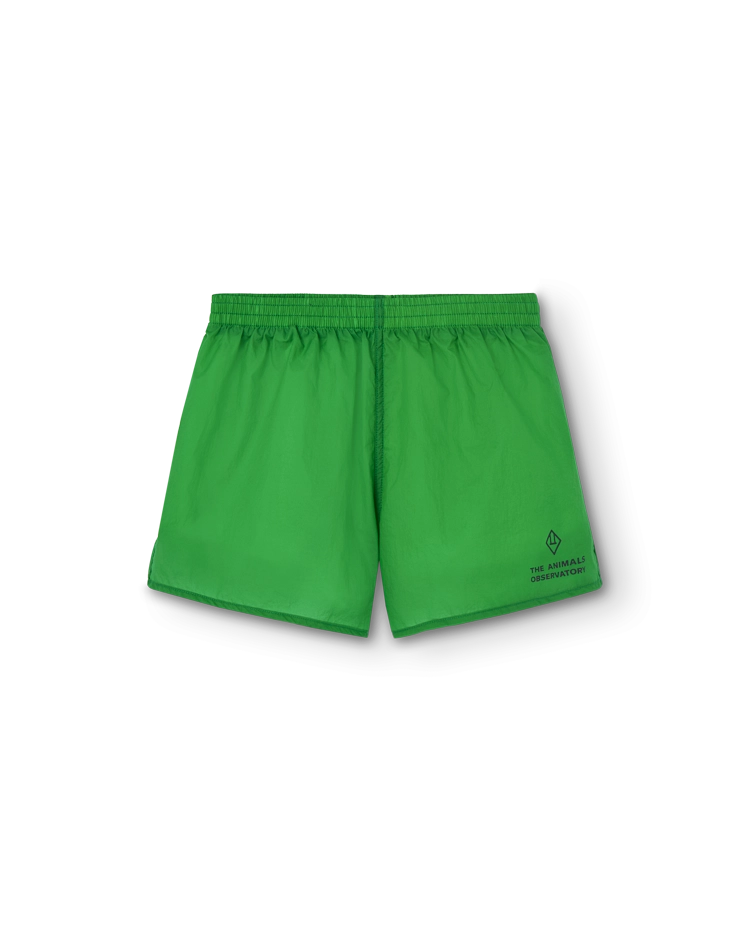 Green Spider Shorts COVER