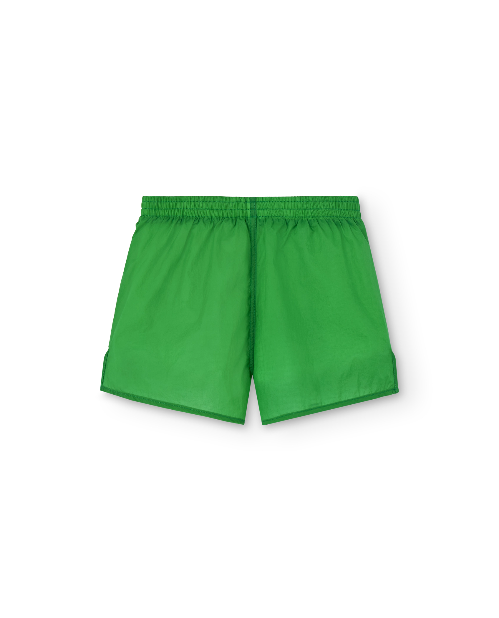 Green Spider Shorts PRODUCT BACK