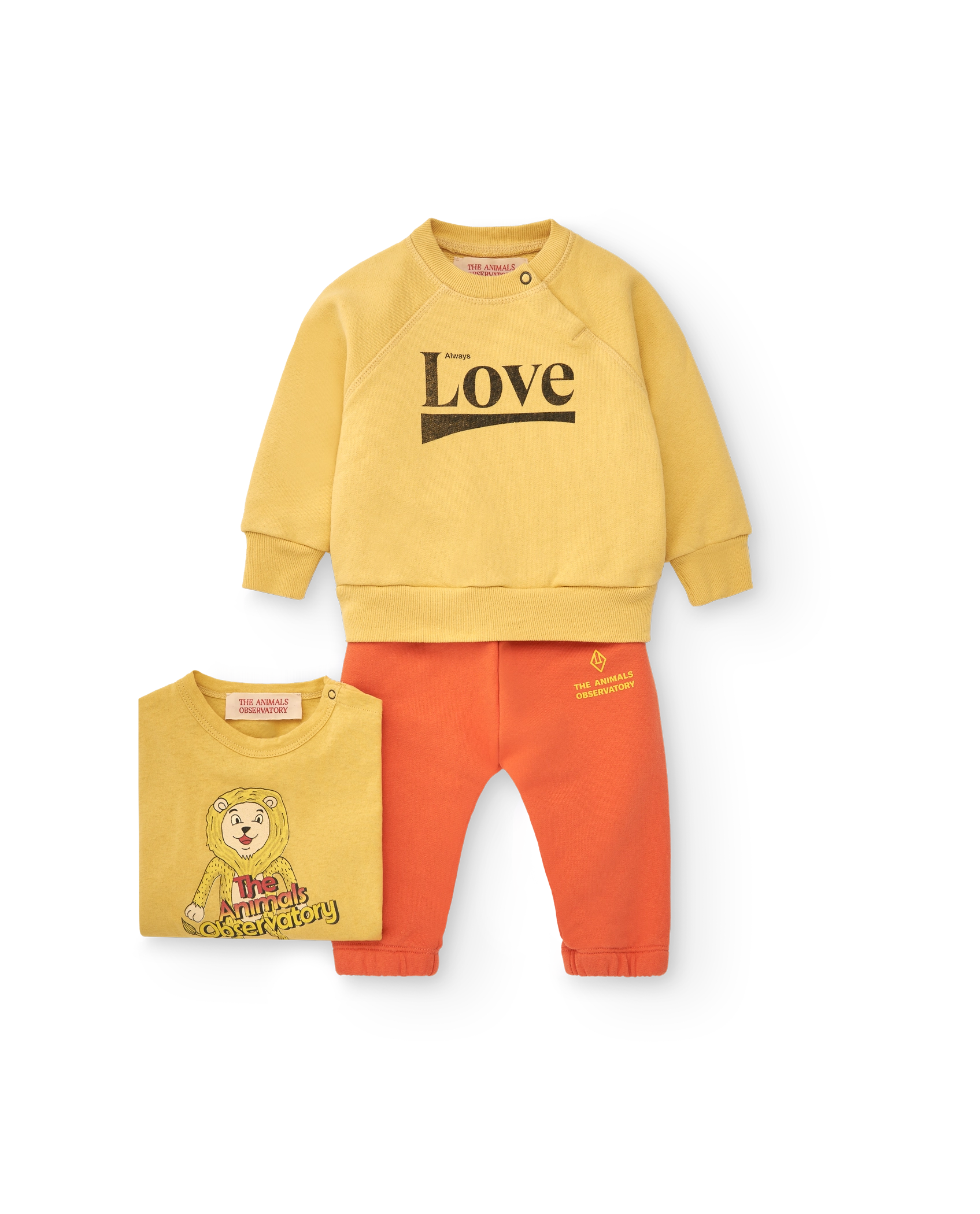 Yellow Love Jackal Sweatshirt MODEL SIDE