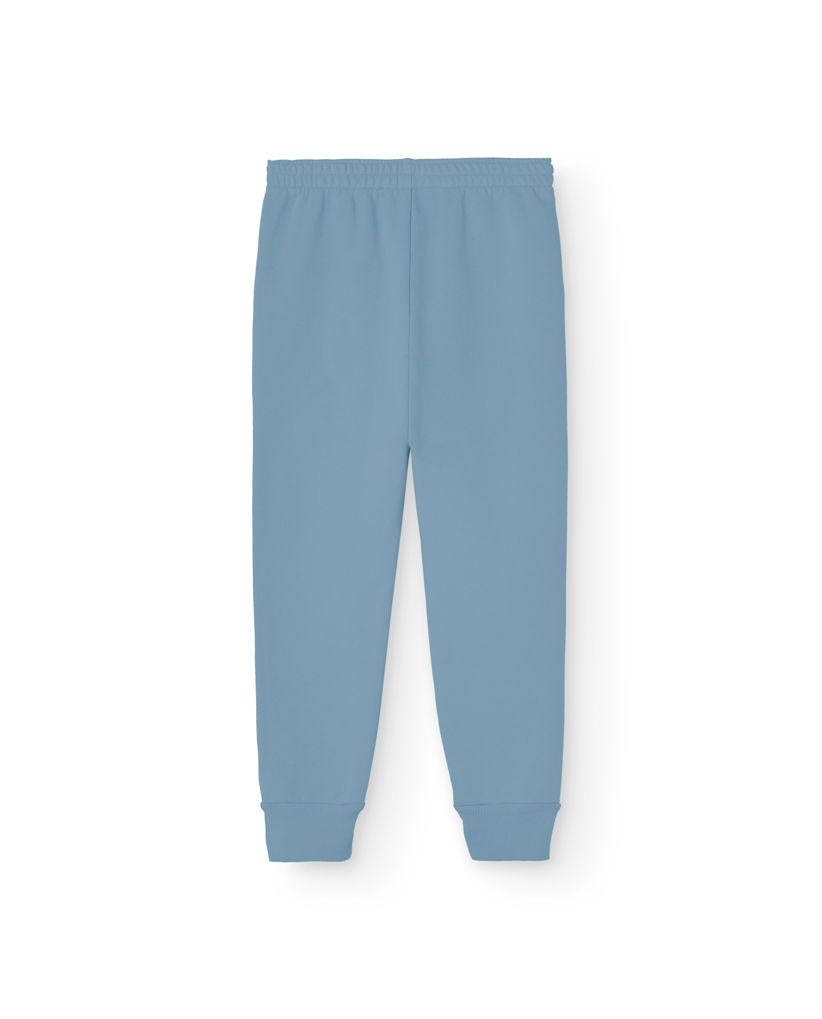 Blue Animals Draco Sweatpants PRODUCT BACK