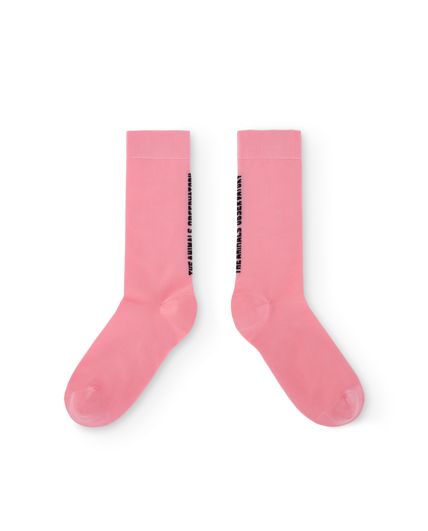 Pink Snail Socks PRODUCT FRONT