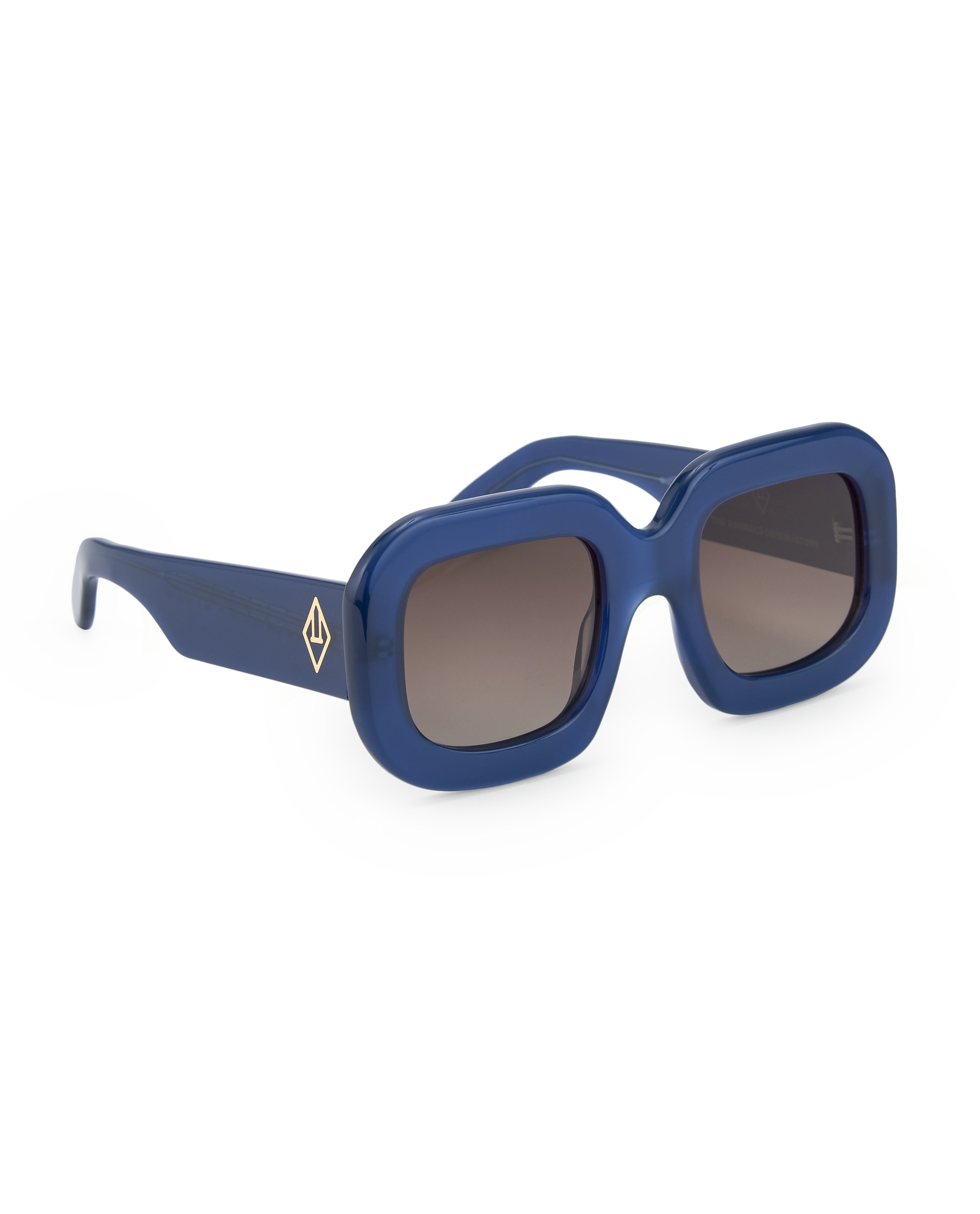 Navy Sunglasses PRODUCT BACK